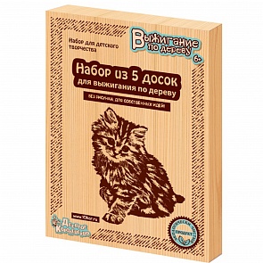 Доски для выжигания без рисунка для собственных идей, 5 шт. (Десятое королевство, 01731ДК)